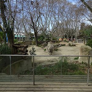 Part of white rhino enclosure