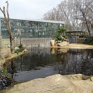Hippo enclosure