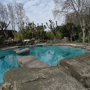 Harbor seal enclosure