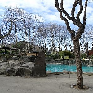 Harbor seal enclosure