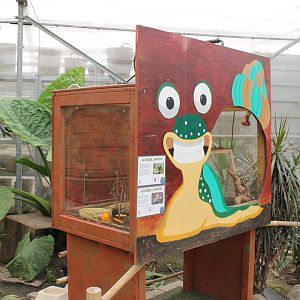 Enclosure Beetles - Snails