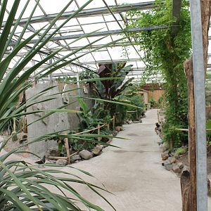 View into one of the halls