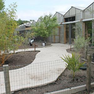 Chicken-walk-through