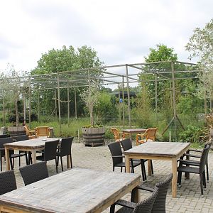 Terras and Barn owl aviary