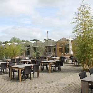 Terras and view on Almere Jungle