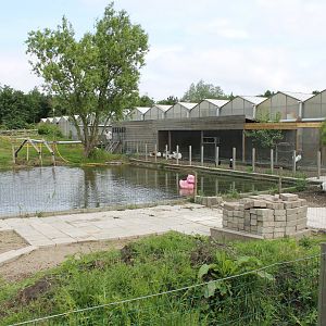Pond and view on Almere Jungle