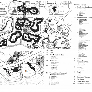 Woodland Park Zoo 1976 Long Range Master Plan: Tropical Rainforest