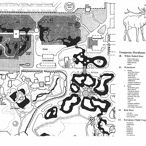 Woodland Park Zoo 1976 Long Range Master Plan: Temperate Deciduous Forest