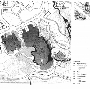 Woodland Park Zoo 1976 Long Range Master Plan: Montane