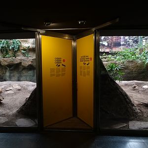 Reptile house crocodilian enclosures