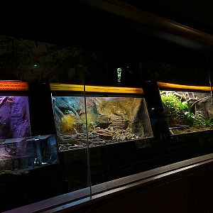 Reptielenhuis - Smaller terraria