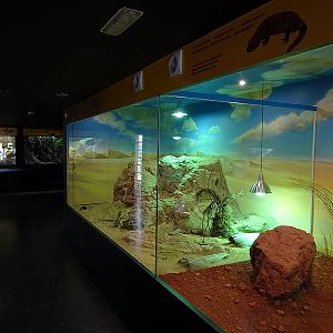 Reptile House - Desert enclosures