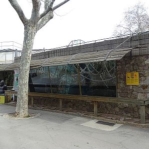 Ringtailed lemur enclosure