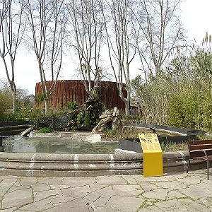 Mediterranean turtle pond