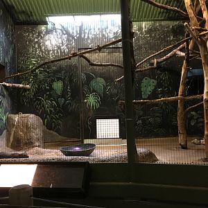 Vanishing Kindom - First Fossa Exhibit