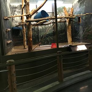 Vanishing Kindom - Second Fossa Exhibit