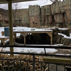 Great Cat Canyon - Amur Tiger Yard