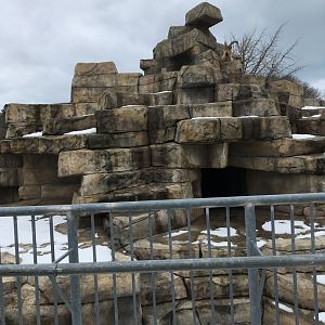 Tur Mountain - West Causcasian Tur Exhibit