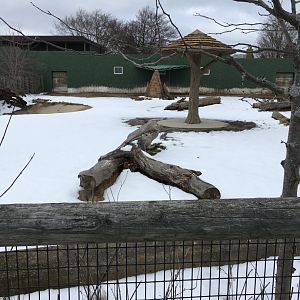 Land of the Giants - Black Rhino Exhibit
