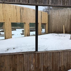 Land of the Giants - Upcoming Exhibit