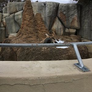 Meerkat Mannor - Meerkat Exhibit