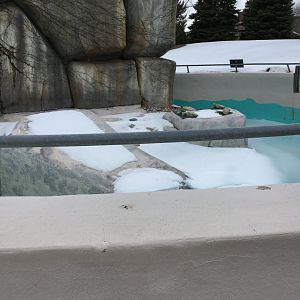 Meerkat Mannor - African Penguin Exhibit