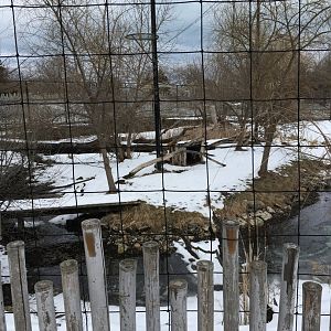 Stork/Western Tufted Deer Aviary