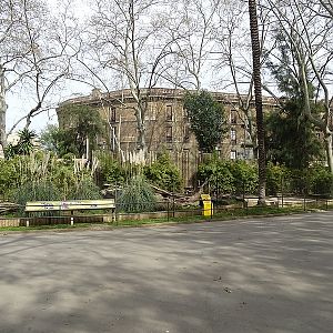 Giant anteater enclosure