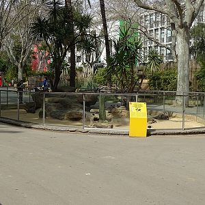 Prairie dog enclosure