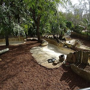 Pygmy hippo enclosure