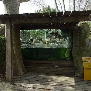 European otter enclosure