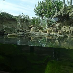 European otter enclosure