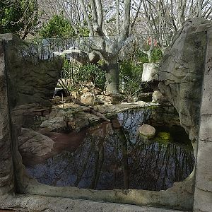 European otter enclosure
