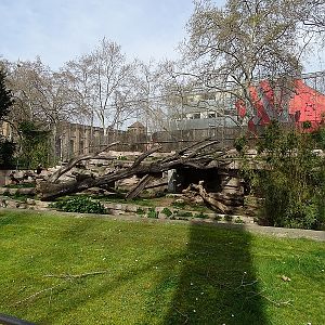 Sumatran tiger enclosure