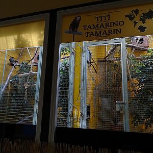 Tamarin house, indoor enclosures