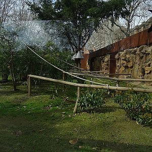 Tamarin house, outdoor enclosure
