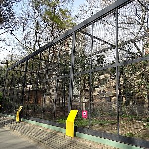 Hornbill/bird of prey enclosure