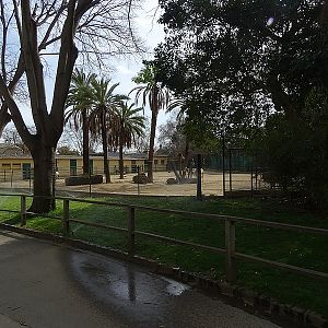 Scimitar horned oryx enclosure