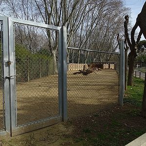 Chital and Pere Davids deer enclosure