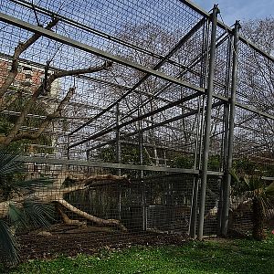 Sri Lanka Leopard enclosure