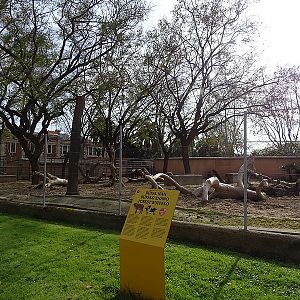 Red forest buffalo enclosure