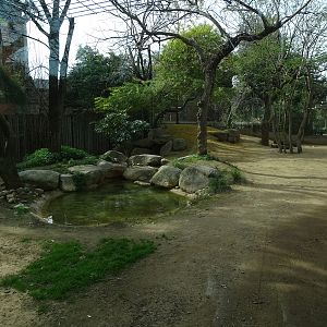 Spotted hyena enclosure