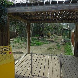 Spotted hyena enclosure
