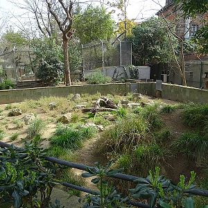 Porcupine enclosure
