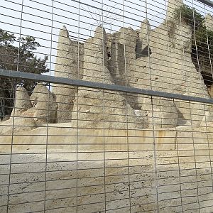 Barbary sheep enclosure