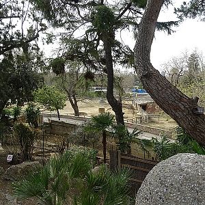 Hoofstock enclosures