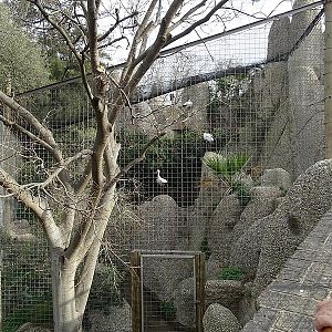 European white stork enclosure