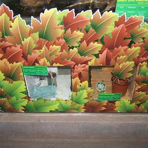 12/3/2017 New Spider exhibits