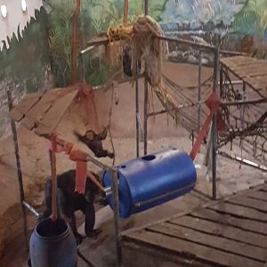 Chimp-indoor enclosure