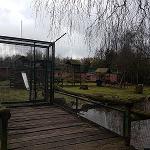 Enclosure Black-capped capuchin - Capybara